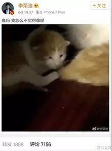 娱乐吃瓜酱小动物视频大全,趣味十足！小动物吃瓜视频大盘点