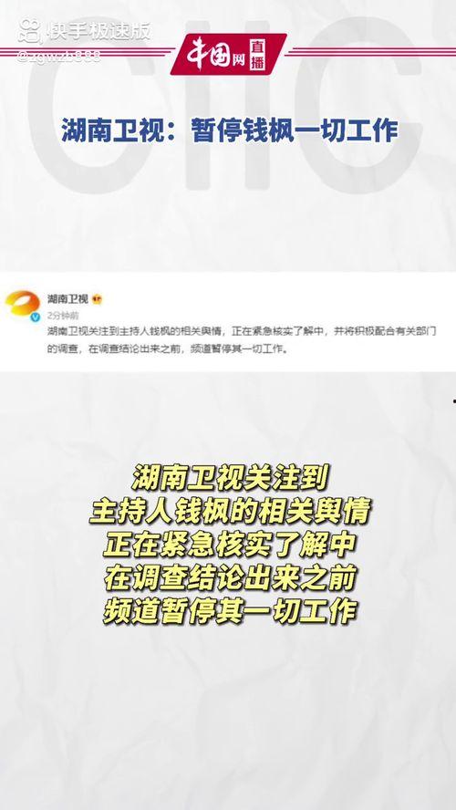 娱乐吃瓜项目是什么,揭秘娱乐圈幕后真相与热点事件  第3张